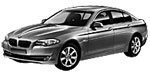 BMW F10 P117D Fault Code